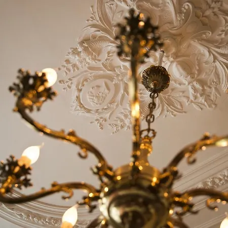 Ck58 Bed & Breakfast Den Haag